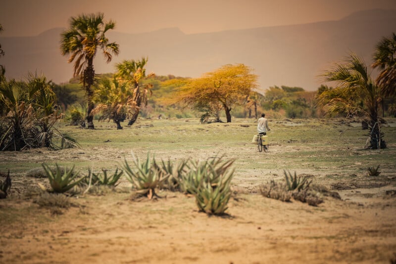 A person rides a bicycle across a dry, grassy landscape with scattered palm trees and shrubs, under a hazy sky with distant mountains in the background.