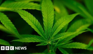 US reclassifies cannabis, raising possibility of marijuana legalisation - BBC