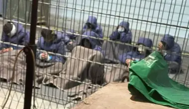 China joins growing voices criticising Israel's death penalty law that targets Palestinians