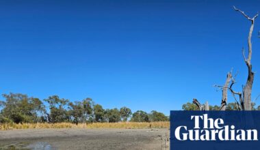 Governments failed to deliver $160m of river improvements including for now-parched NSW wetlands, report finds | Environment