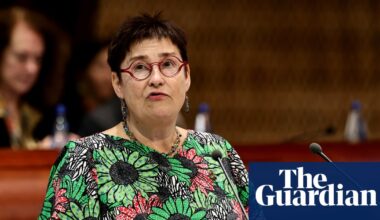 Israel’s death penalty law could spell suspension from rights body role, says chief | Israel