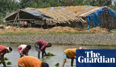 ‘India is going to face a food crisis’: Farmers panic over fertiliser shortages amid Iran war | India