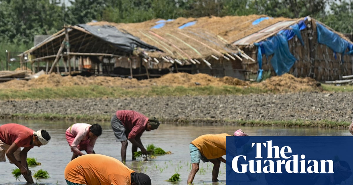 ‘India is going to face a food crisis’: Farmers panic over fertiliser shortages amid Iran war | India