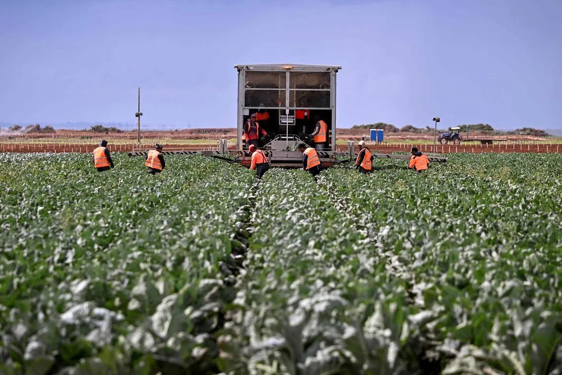 Australia exports about 70 per cent of its agricultural products, mostly to Asia.