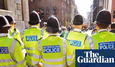 Met investigates hundreds of officers after using Palantir AI tool | Metropolitan police