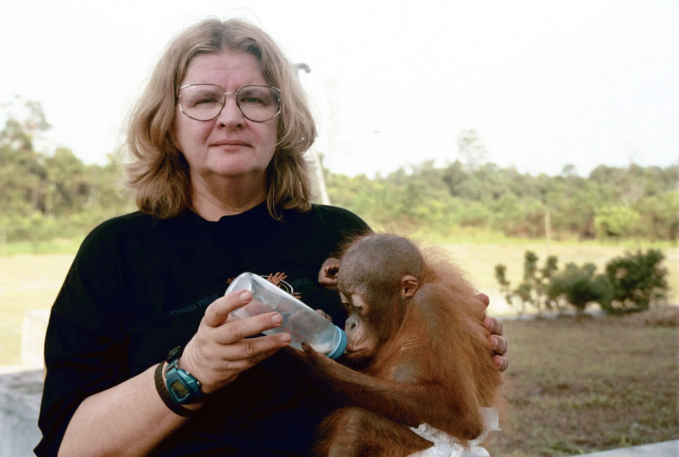 Birute Galdikas feeding an orphaned orangutan.
