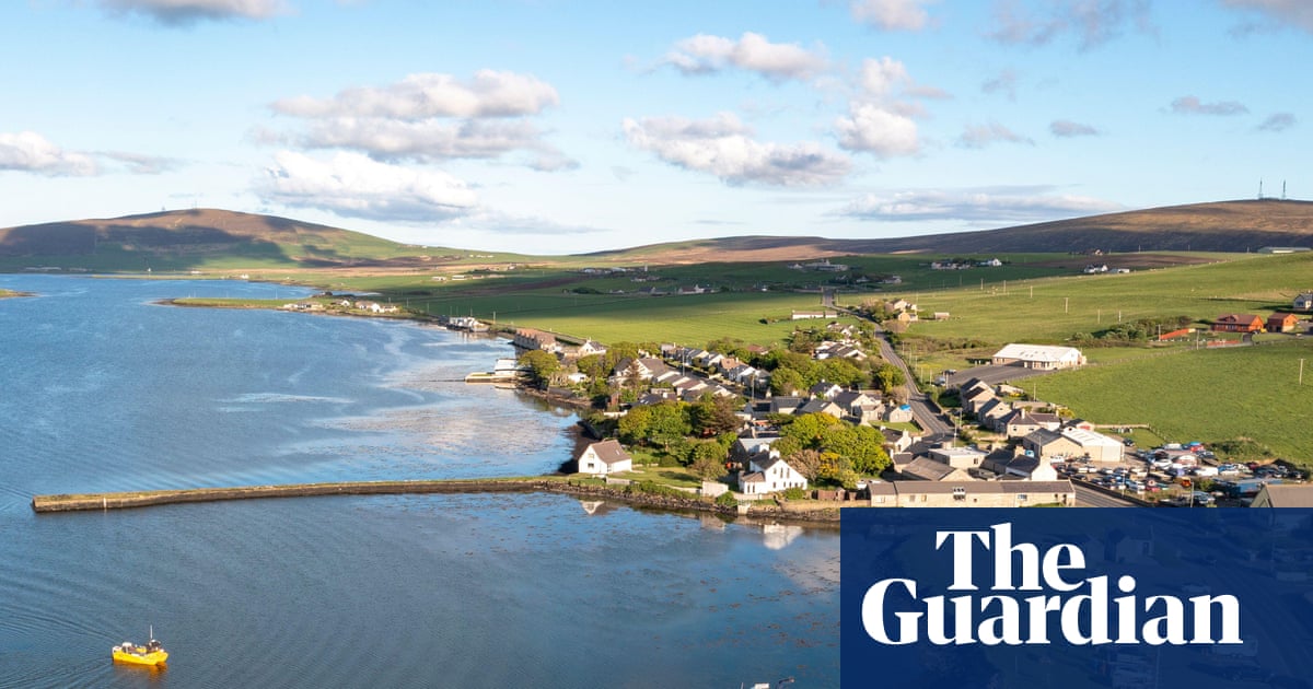 More than 15m oysters to be released in the North Sea for UK rewilding project | Marine life