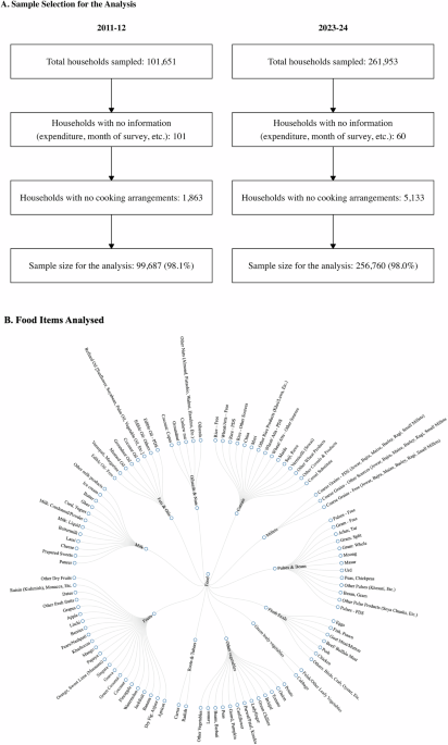 Food consumption patterns and their micronutrient content in India: Evidence from the household consumption expenditure surveys, 2011–12 and 2023–24