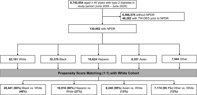 Racial and microvascular determinants of progression to treatment-warranted diabetic eye disease