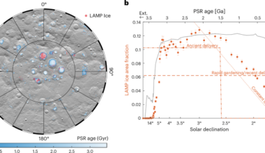 Observational constraints on the history of lunar polar ice accumulation