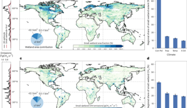 The underappreciated importance of small wetlands in global methane emissions