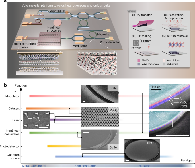 All-van der Waals microcavities for low-loss nonlinear photonics