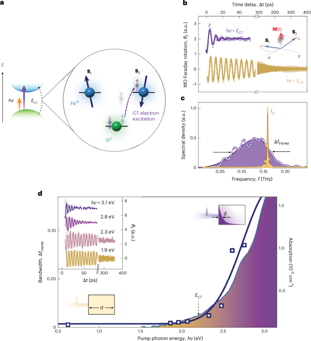 Photoengineering the magnon spectrum in an insulating antiferromagnet