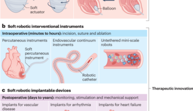 Soft robotic devices for cardiovascular medicine