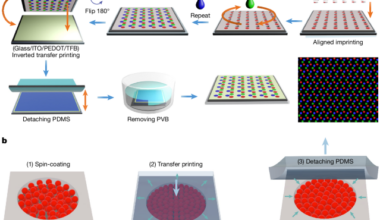 Nanoscale transfer-printed full-colour ultrahigh-resolution quantum dot LEDs