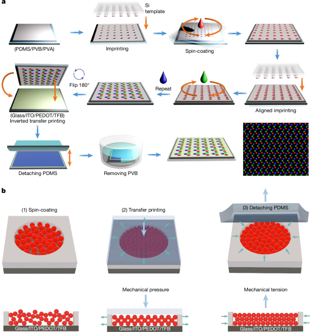 Nanoscale transfer-printed full-colour ultrahigh-resolution quantum dot LEDs