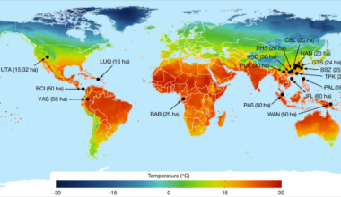 The importance of competition and facilitation for global tree diversity