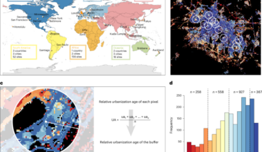 The linkage between microbial community dynamics and urbanization age