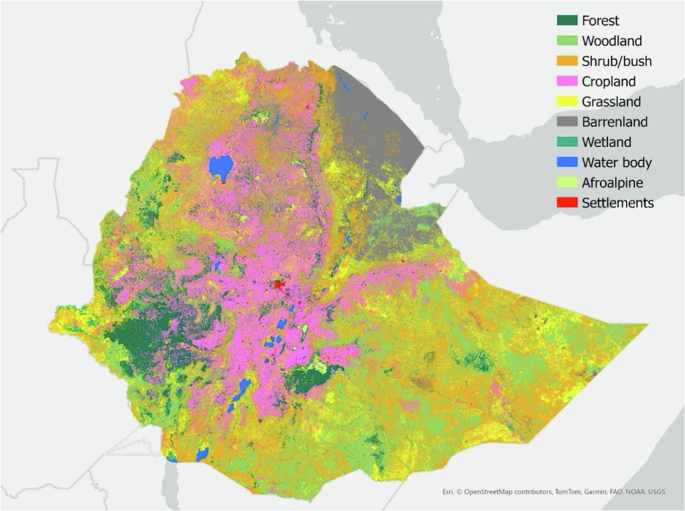 Carbon market development in Africa: Ethiopia as a model