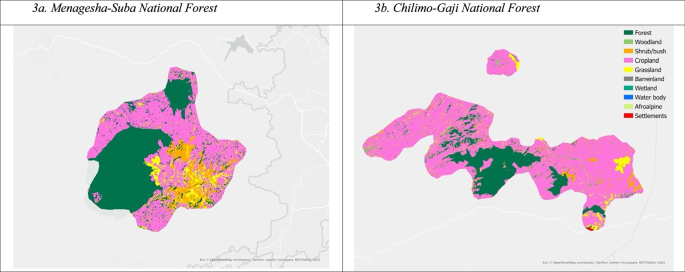 Fig. 3: Land use change dynamics in Ethiopian protected areas.