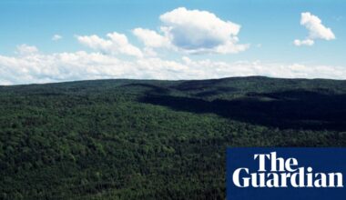 What counts as the woods? Judge axes Nova Scotia’s ban that defied ‘commonsense definitions’ | Canada
