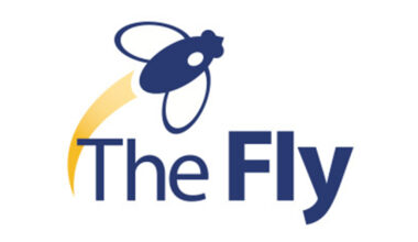 Wall Street's top analyst calls