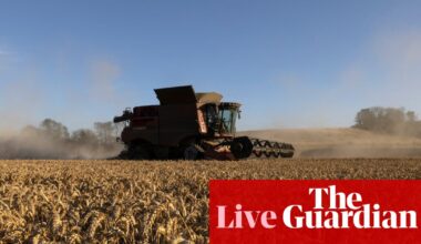 Wheat price heading for biggest jump in two months; insolvences rise in England and Wales – business live | Business