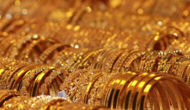 Has Agnico Eagle Mines (AEM) Run Too Far After Its 88% One Year Share Price Jump