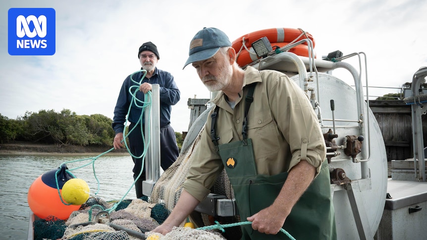 SA fishers demand urgent action to protect stocks, fearing long-term wipeout