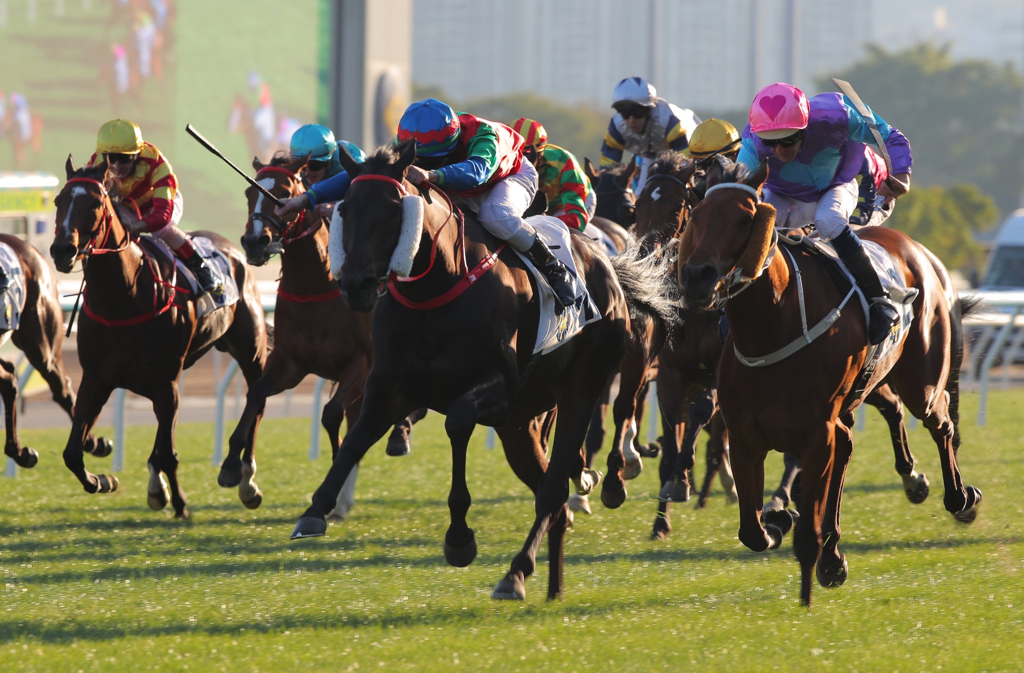 Money Catcher (blue and red cap) clings on at Sha Tin. Money Catcher (blue and red cap) clings on at Sha Tin.