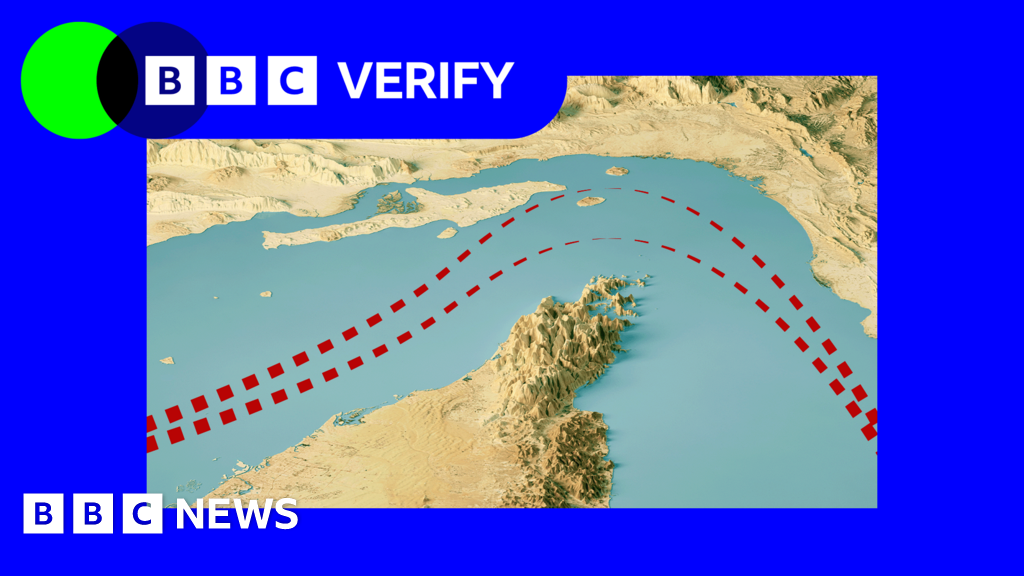 How many ships are crossing the Strait of Hormuz? - BBC