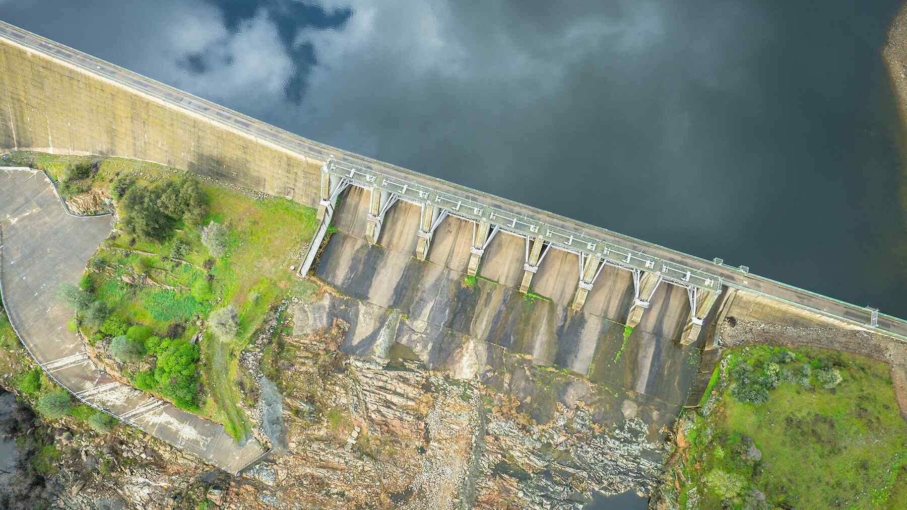 Amazon dam leads to fish vanishing