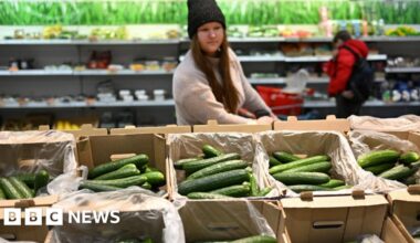 Shoppers feel the crunch as fruit and vegetable prices increase - BBC