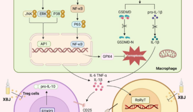 Stopping the inflammatory spiral: How Xuebijing protects the lung barrier in acute lung injury
