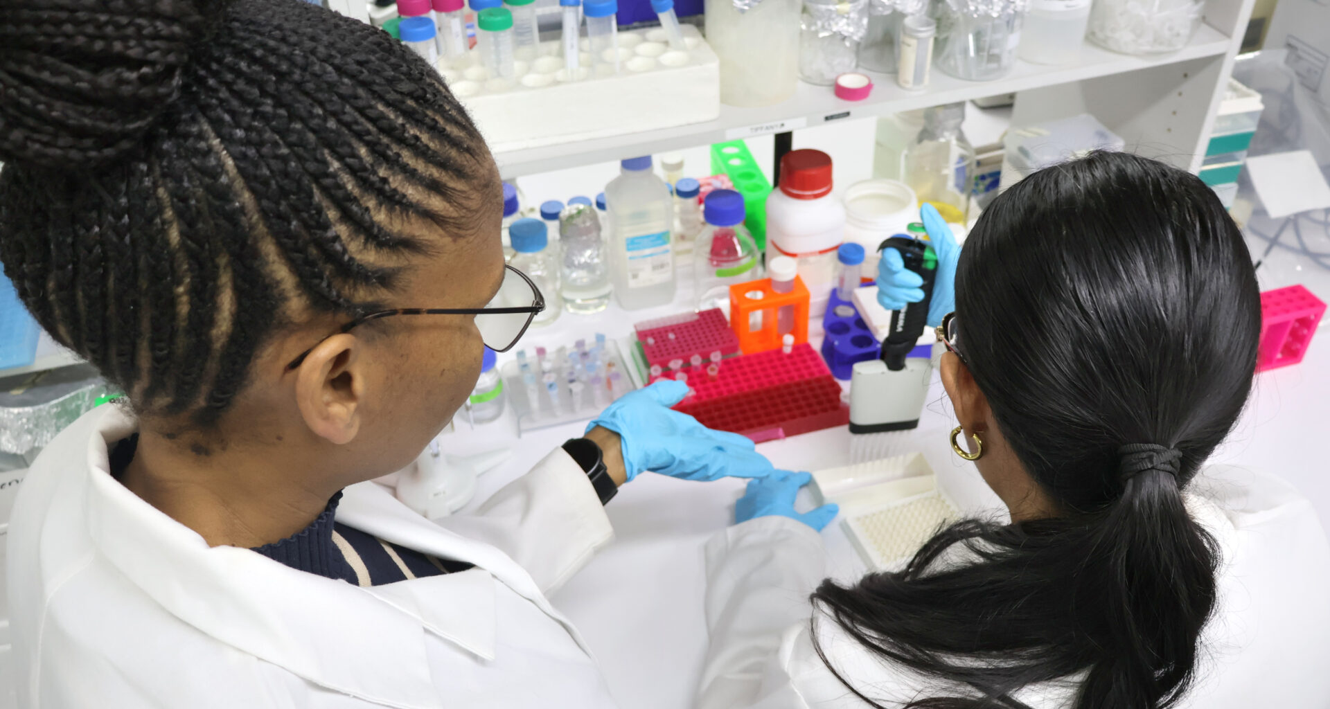 1000 new African genomes added to global science