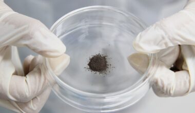 Lunar soil bears proof of organic matter