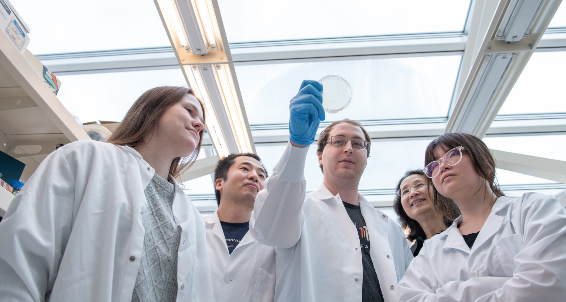 CRISPR variant selectively targets tumor DNA