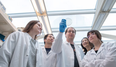 CRISPR variant selectively targets tumor DNA