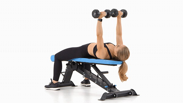 dumbbell-bench-press-1 alice dumbbell bench press 1 alice