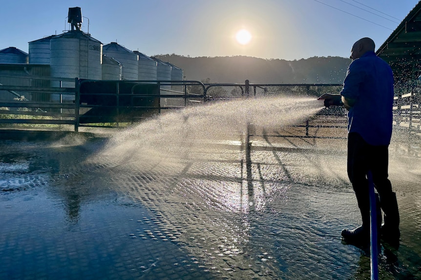 A large hose is used to clean the yards.