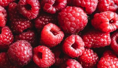 Red raspberries linked to better blood sugar control and memory in older adults