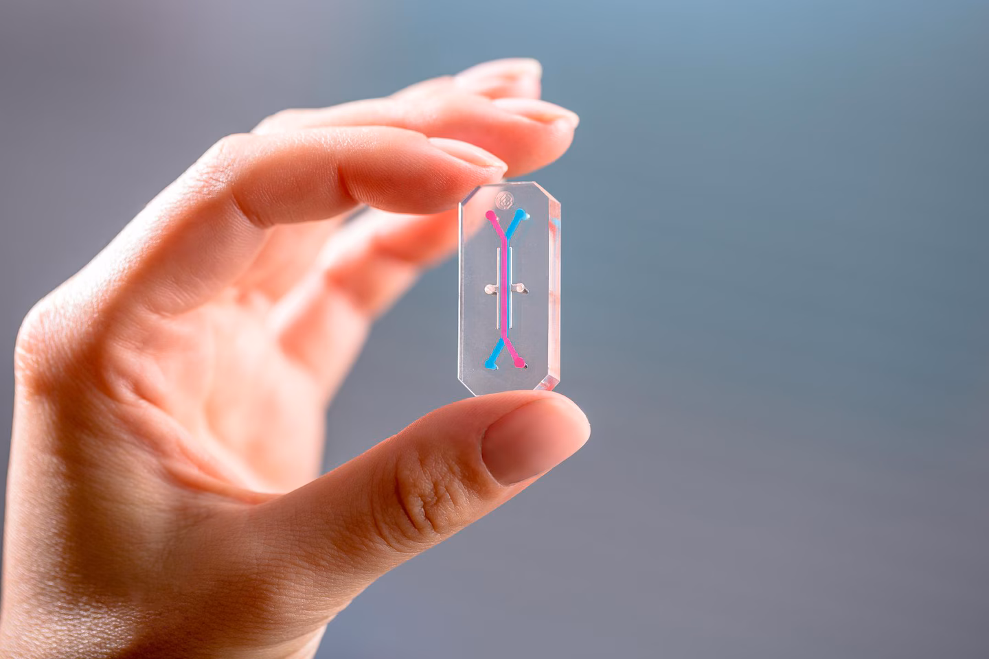 A tiny experiment using Artemis II astronaut cells could reshape medicine - The Washington Post