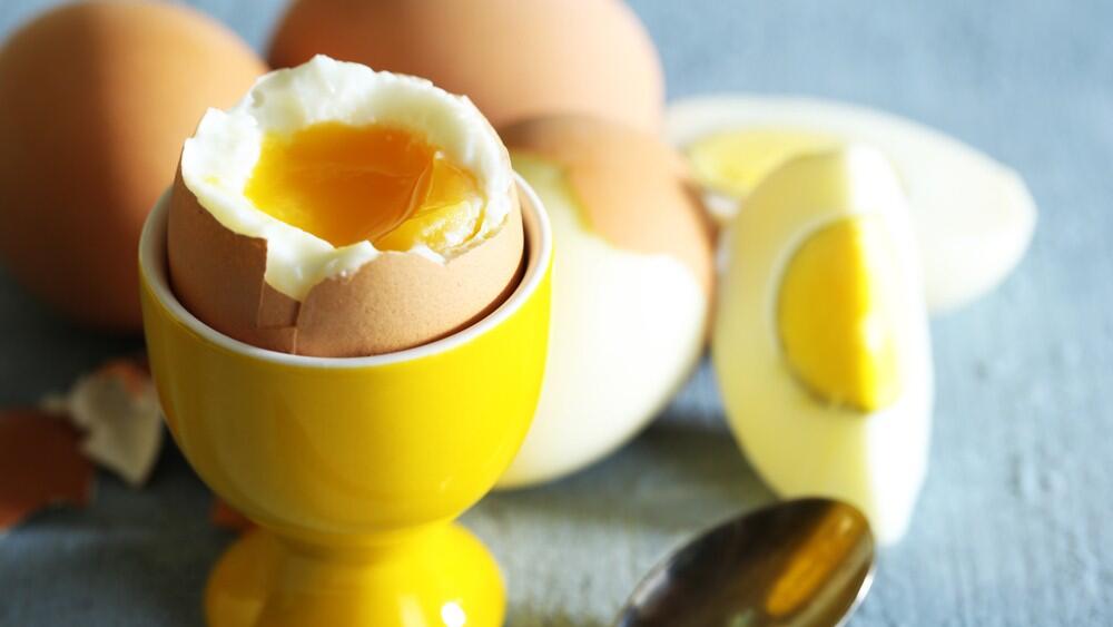 Photo: Shutterstock