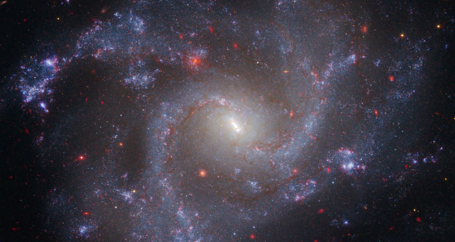 A swirl of purple and blue gas dotted with red stars moves around a central glowing core, blending together to make a giant spiral galaxy.