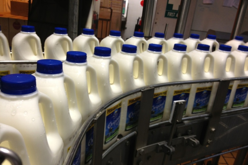 Milk bottles on a production line.