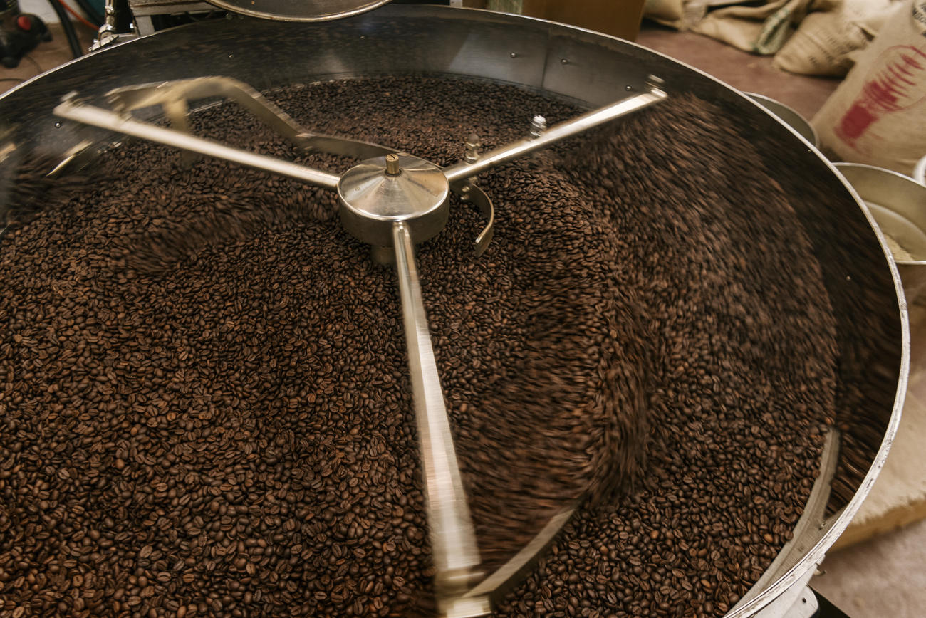 Freshly roasted coffee beans