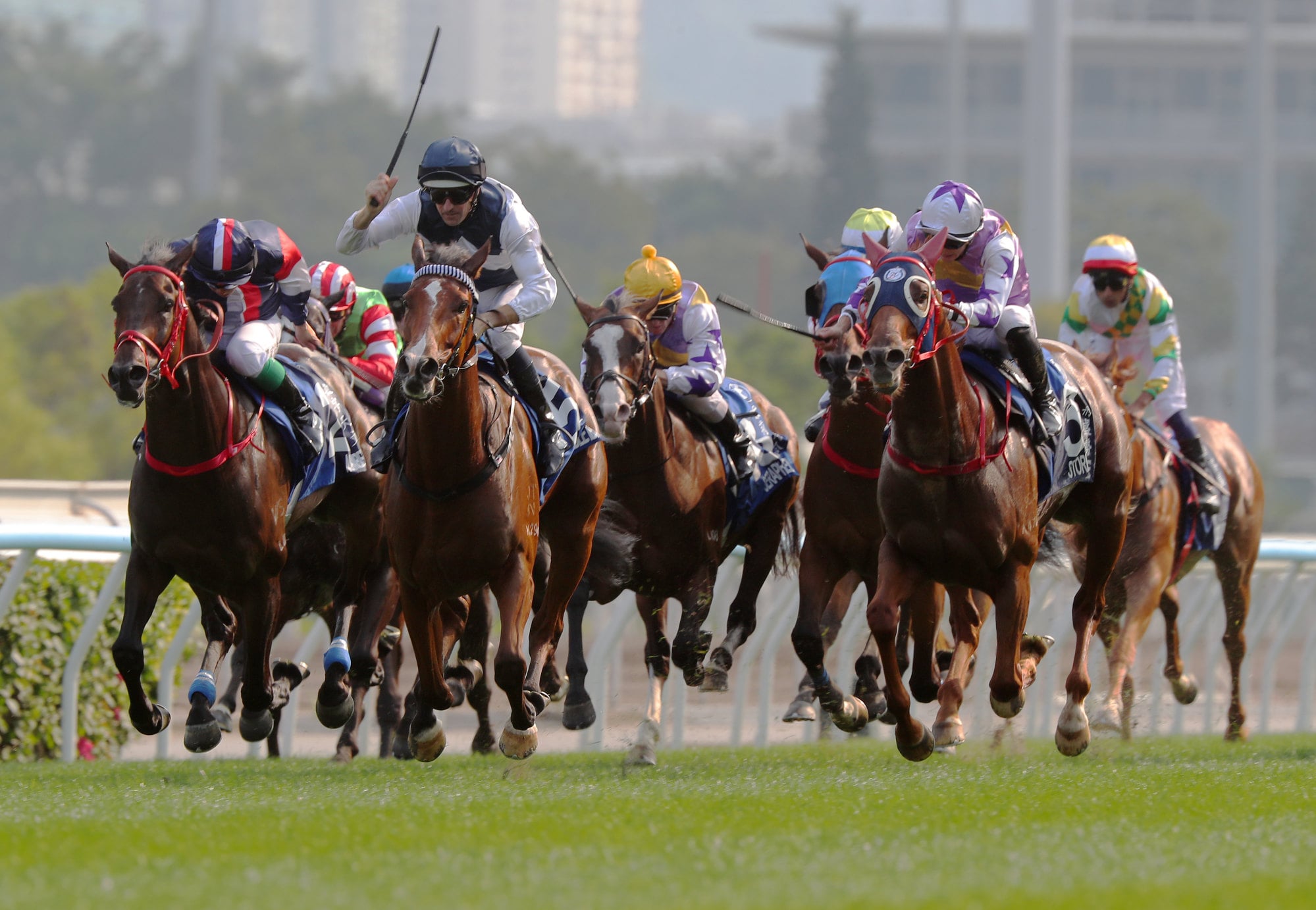 Stormy Grove (right) lashes home in the Derby at Sha Tin. Stormy Grove (right) lashes home in the Derby at Sha Tin.