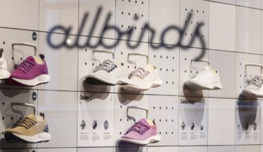 Of Course Allbirds Is an AI Company Now