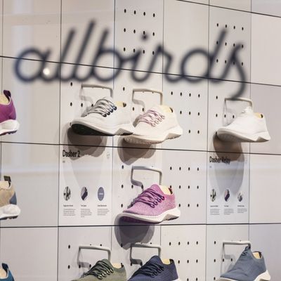 An Allbirds Store Ahead Of Earnings Figures