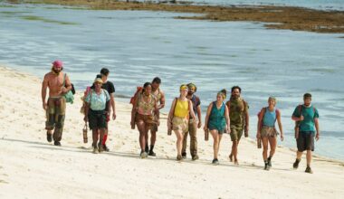 The Curse of the Fake Immunity Idol